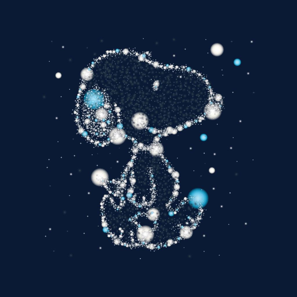 Peanuts Snoopy Astronomical Christmas Women's Sweatshirt product image 7