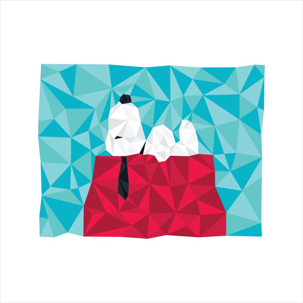 Peanuts Snoopy Geometric Kennel Women's Hooded Sweatshirt product image 5