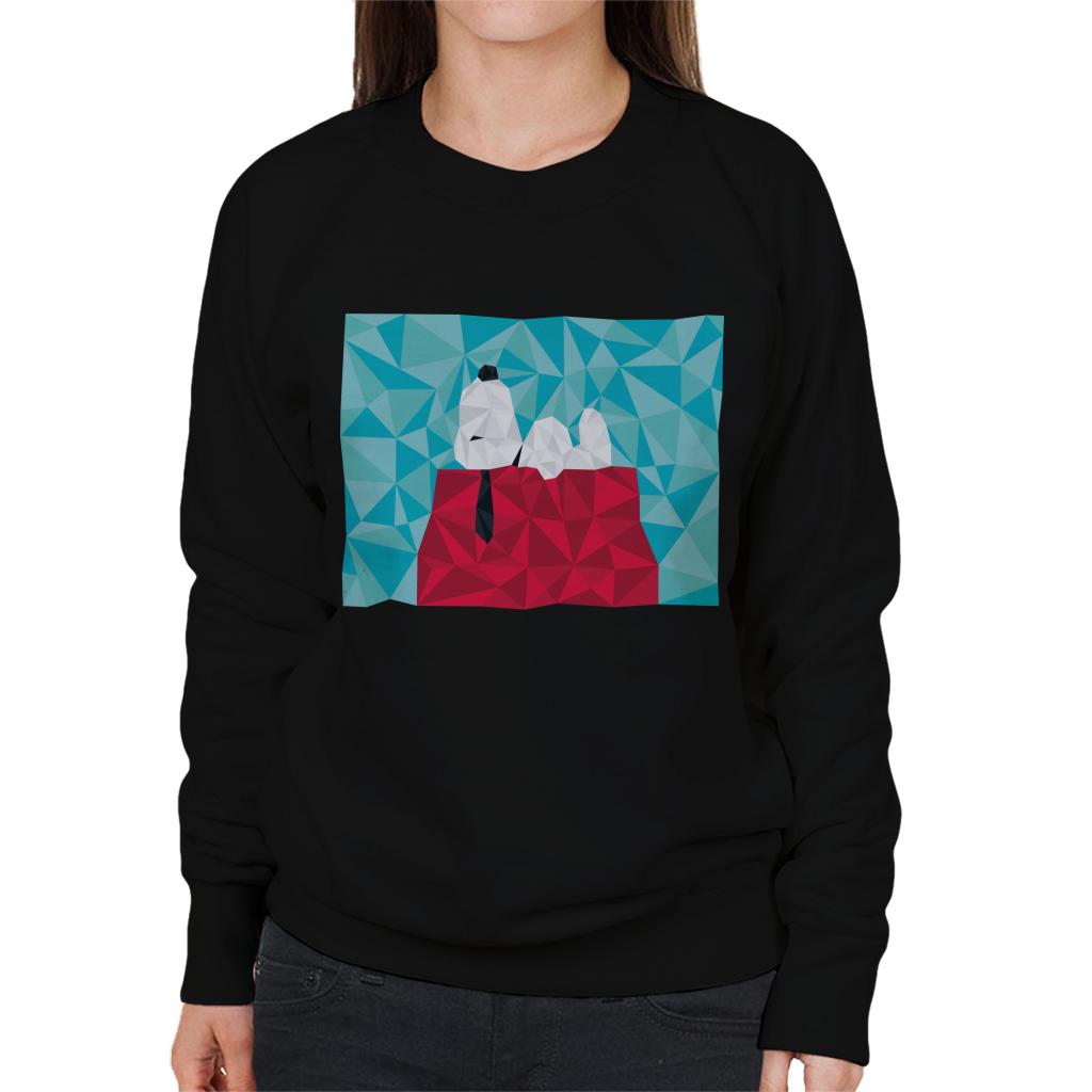Peanuts Snoopy Geometric Kennel Women's Sweatshirt product image 1