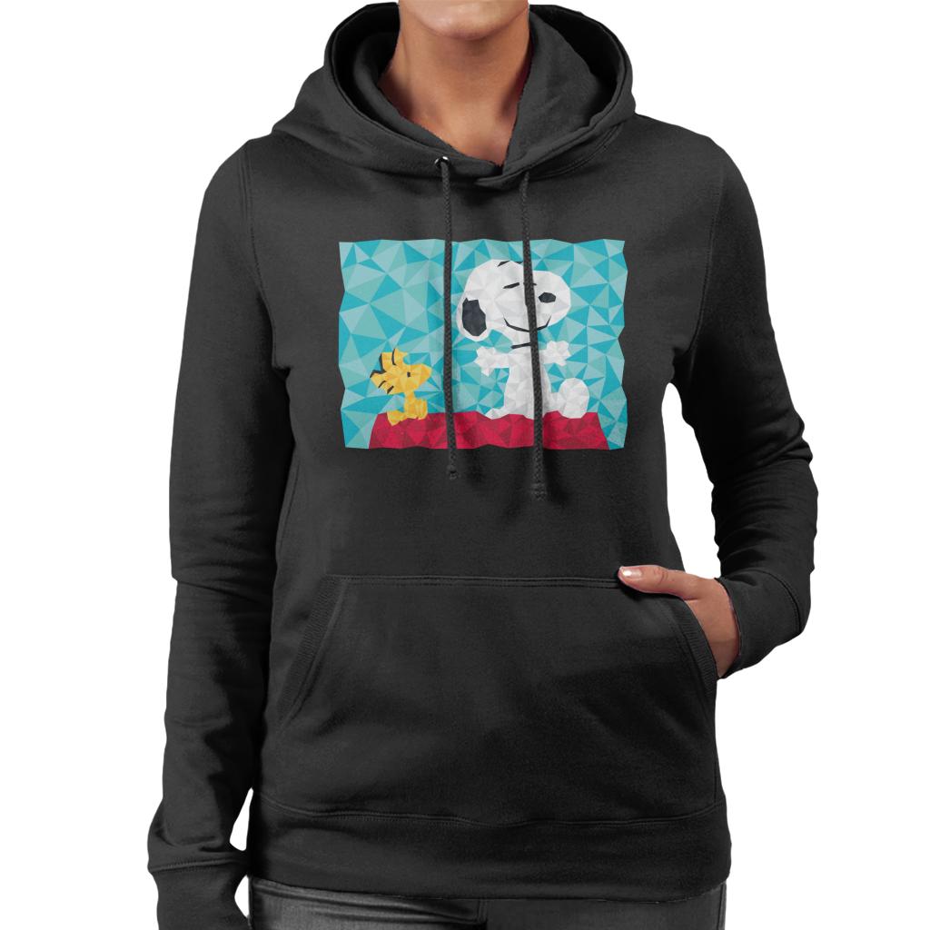 Peanuts Snoopy Woodstock Sitting On Kennel Geometric product image 1