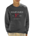 Harvard University Est 1636 Two Tone Logo Kid's Sweatshirt product image 1