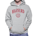 Harvard University Classic Red Shield Men's Hooded product image 1
