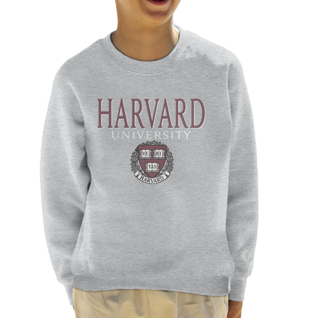 Harvard University Faded Veritas Crest Kid's Sweatshirt product image 1