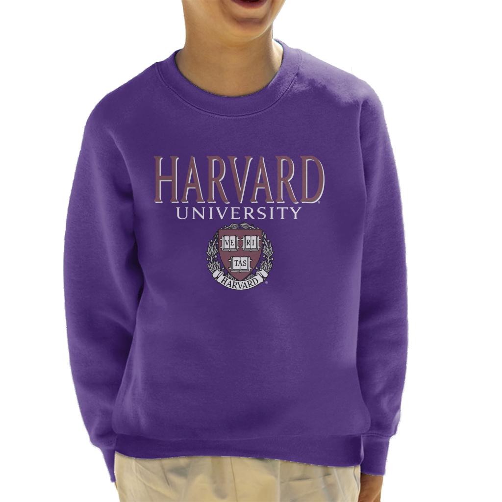 Harvard University Faded Veritas Crest Kid's Sweatshirt product image 4