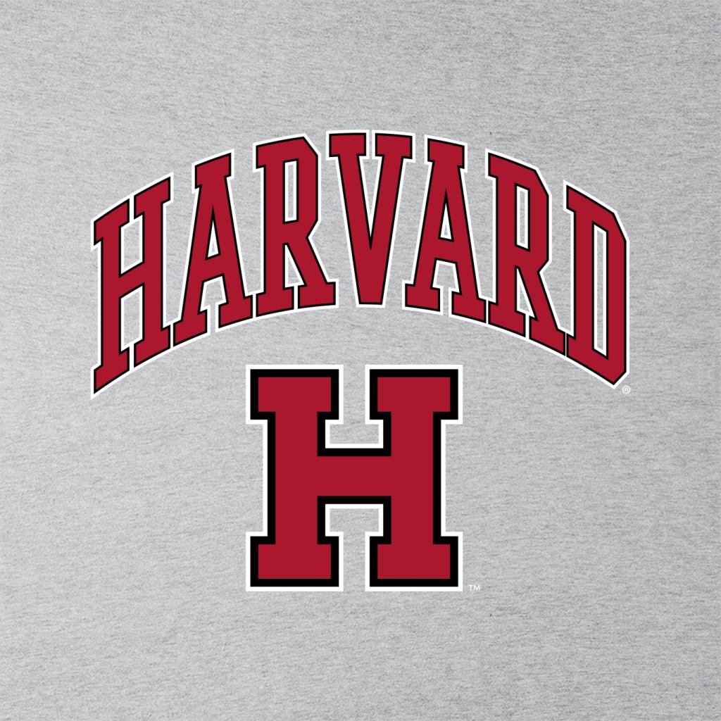 Harvard University Varsity Sports Logo Men's Hooded product image 2