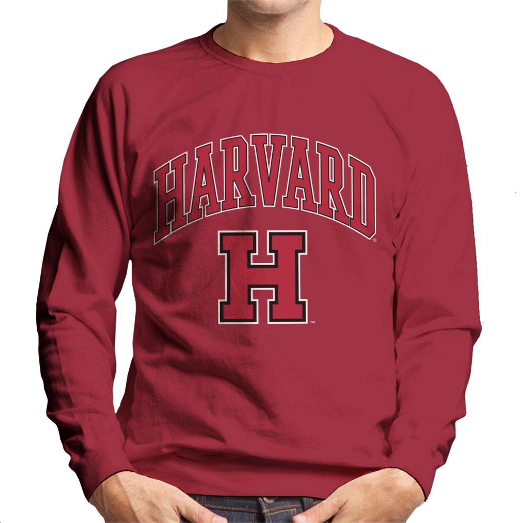 Harvard University Varsity Sports Logo Men's Sweatshirt product image 6