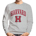 Harvard University Varsity Sports Logo Men's Sweatshirt product image 1