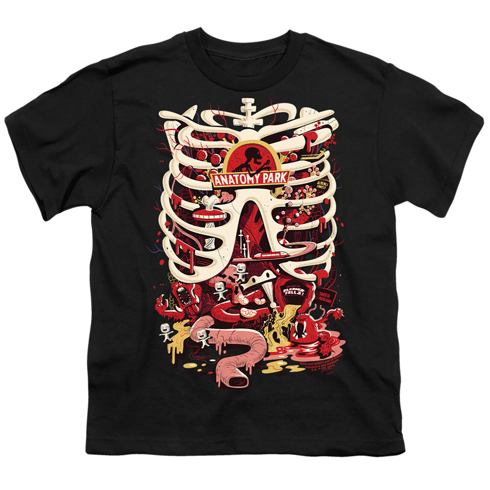 Rick And Morty - Anatomy Park Logo Youth Short Sleeve product image 1