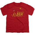 Flash - Speed Distressed Youth Short Sleeve product image 1