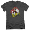 Flash - Run Adult Slim Fit V Neck Cotton product image 1