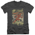 Flash - Just Passing Through Adult Slim Fit V Neck Cotton product image 1