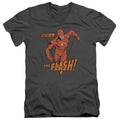 Flash - Whirlwind Adult Slim Fit V Neck Cotton product image 1