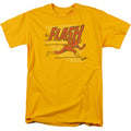 Flash - Speed Lines Adult Regular Fit Short Sleeve product image 1