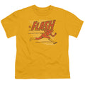 Flash - Speed Lines Youth Short Sleeve product image 1