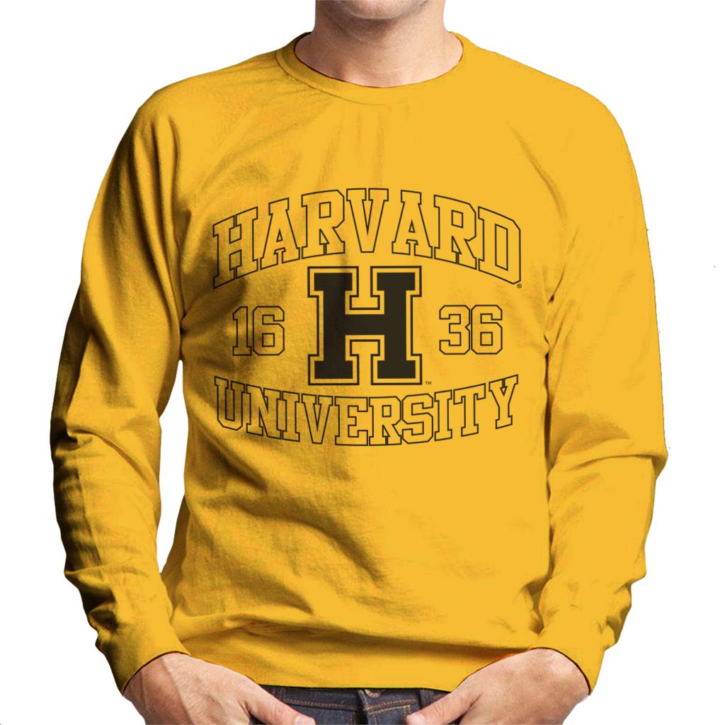 Harvard University Sports Text Logo 1636 Men's Sweatshirt product image 4