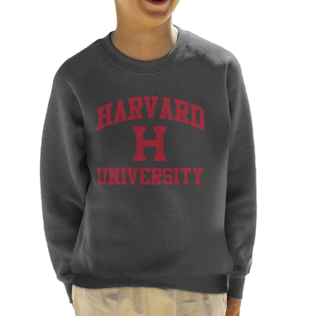 Harvard University Classic Text Logo Kid's Sweatshirt product image 1