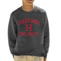 Harvard University Classic Text Logo Kid's Sweatshirt product image 1