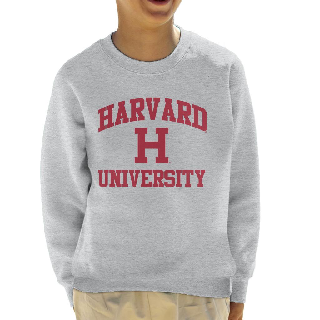 Harvard University Classic Text Logo Kid's Sweatshirt product image 4