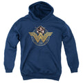 Wonder Woman Movie - Power Stance And Emblem Youth Hooded product image 1