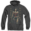 Wonder Woman Movie - Armed And Dangerous Adult Heather product image 1