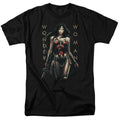 Wonder Woman Movie - Armed And Dangerous Adult Regular Fit product image 1