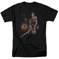 Wonder Woman Movie - Fierce Adult Regular Fit Short Sleeve product image 1