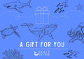 Dolce Reverie Gift Card